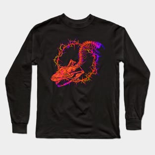 Grungy Boa Skull V2 Long Sleeve T-Shirt